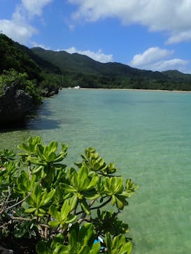 石垣島 ADVENTURE PiPi（イシガキジマアドベンチャーピピ）に投稿された画像（2023/5/27）