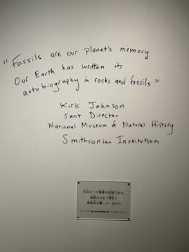 特別展「恐竜博2023」に投稿された画像（2023/5/27）