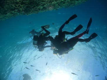 沖縄マリンサービス碧に投稿された画像（2023/5/27）