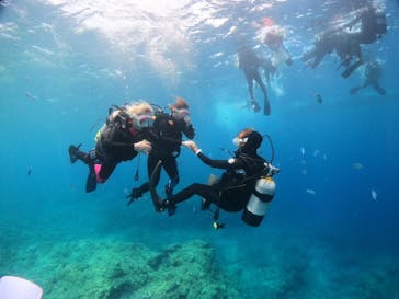 沖縄マリンサービス碧に投稿された画像（2023/5/27）