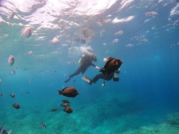 沖縄マリンサービス碧に投稿された画像（2023/5/27）