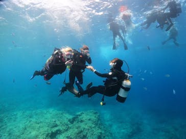 沖縄マリンサービス碧に投稿された画像（2023/5/27）