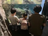 京都水族館に投稿された画像（2023/5/28）