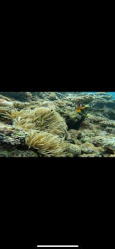 DIVING-SHOP SUNSに投稿された画像（2023/5/27）