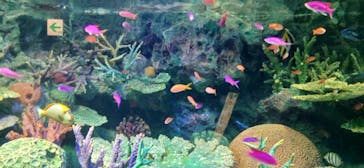 サンシャイン水族館に投稿された画像（2023/5/3）