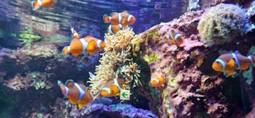 サンシャイン水族館に投稿された画像（2023/5/3）