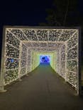 KYOTO ILLUMINATION SYNESTHESIA HILLS るり渓温泉に投稿された画像（2023/5/28）
