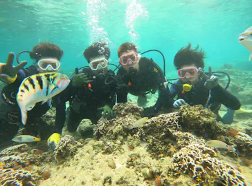 武藤潜水に投稿された画像（2023/5/28）