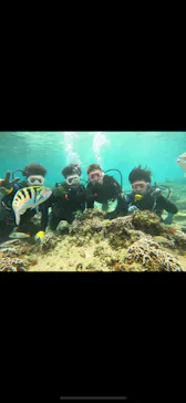 武藤潜水に投稿された画像（2023/5/28）