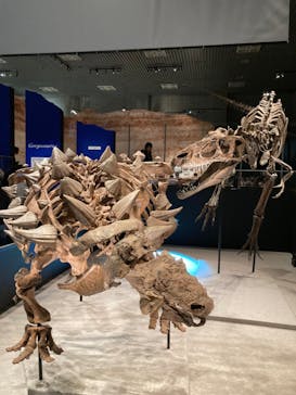 特別展「恐竜博2023」に投稿された画像（2023/5/20）