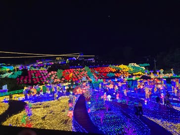 伊豆ぐらんぱる公園に投稿された画像（2023/5/28）