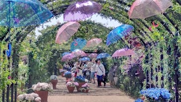 横浜イングリッシュガーデンに投稿された画像（2023/5/28）