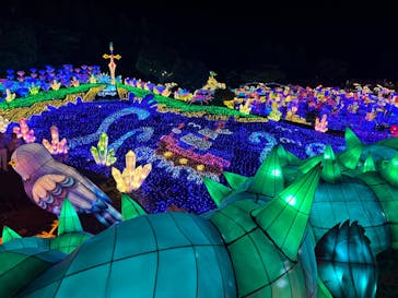 伊豆ぐらんぱる公園に投稿された画像（2023/5/28）