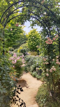 横浜イングリッシュガーデンに投稿された画像（2023/5/28）