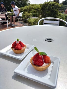 野外民族博物館 リトルワールドに投稿された画像（2023/5/28）