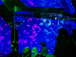 名古屋港水族館に投稿された画像（2023/5/28）