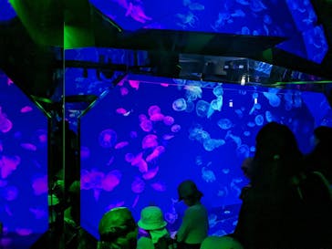 名古屋港水族館に投稿された画像（2023/5/28）