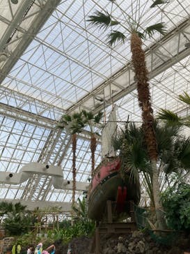 東京サマーランドに投稿された画像（2023/5/28）