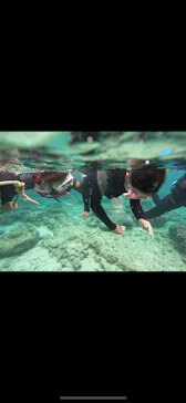 武藤潜水に投稿された画像（2023/5/28）