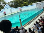 しながわ水族館に投稿された画像（2023/5/28）