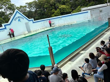 しながわ水族館に投稿された画像（2023/5/28）