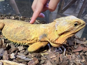 NARA IKIMONO MUSEUMに投稿された画像（2023/5/28）