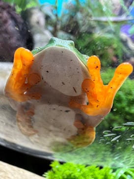 NARA IKIMONO MUSEUMに投稿された画像（2023/5/28）