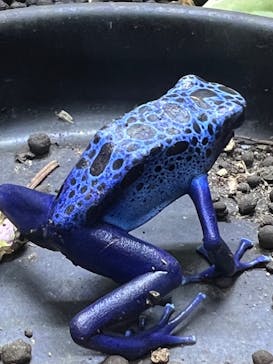 NARA IKIMONO MUSEUMに投稿された画像（2023/5/28）