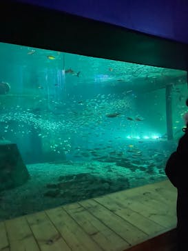 南知多ビーチランド＆南知多おもちゃ王国に投稿された画像（2023/5/28）