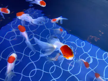 すみだ水族館に投稿された画像（2023/5/28）