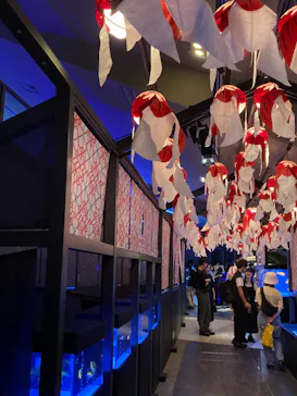 すみだ水族館に投稿された画像（2023/5/28）