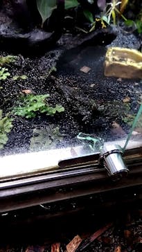 カワスイ 川崎⽔族館に投稿された画像（2023/5/28）