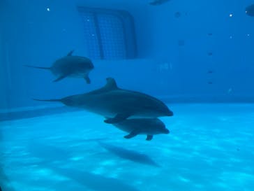 マリンワールド海の中道に投稿された画像（2023/5/28）