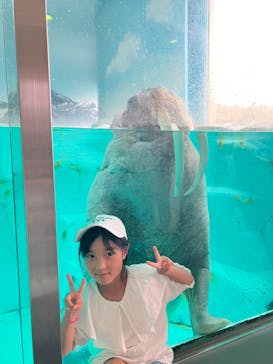 南知多ビーチランド＆南知多おもちゃ王国に投稿された画像（2023/5/28）