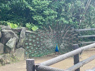 伊豆シャボテン動物公園に投稿された画像（2023/5/28）