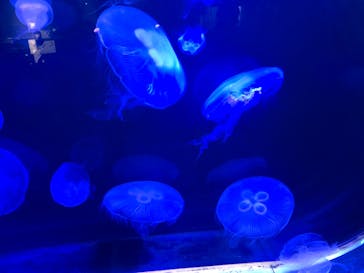 株式会社Gに投稿された画像（2023/5/28）