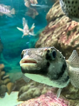 株式会社Gに投稿された画像（2023/5/28）