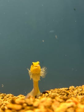 株式会社Gに投稿された画像（2023/5/28）