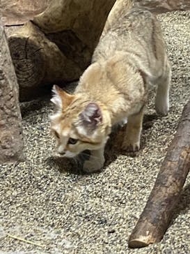 那須どうぶつ王国に投稿された画像（2023/5/28）