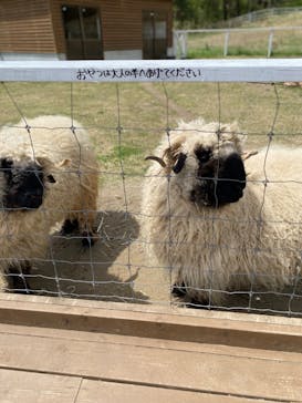 那須どうぶつ王国に投稿された画像（2023/5/28）