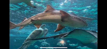 株式会社Gに投稿された画像（2023/5/28）