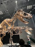 特別展「恐竜博2023」に投稿された画像（2023/5/28）