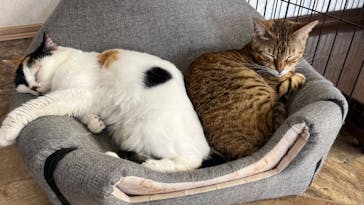 つくばわんわんランドに投稿された画像（2023/5/28）