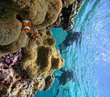 宮古島 ADVENTURE PiPi（ミヤコジマ アドベンチャー ピピ）に投稿された画像（2023/5/28）