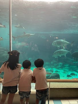 株式会社Gに投稿された画像（2023/5/28）