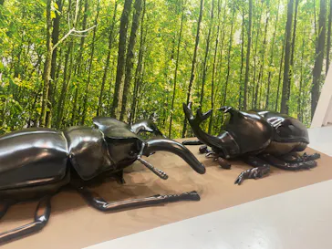 ひらかたパークに投稿された画像（2023/5/28）