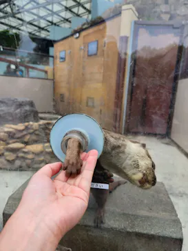 横浜・八景島シーパラダイスに投稿された画像（2023/5/28）