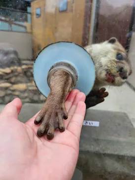 横浜・八景島シーパラダイスに投稿された画像（2023/5/28）