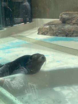 サンシャイン水族館に投稿された画像（2023/5/28）