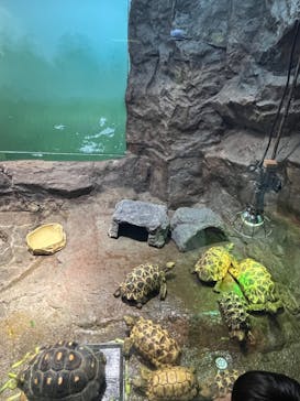 サンシャイン水族館に投稿された画像（2023/5/28）